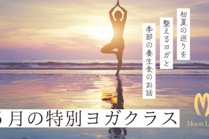 丹波市柏原町・山南町・丹波篠山市で開催される特別ヨガクラス